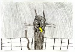 Art 5